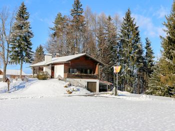 Hütte Rustika am Wörthersee - Carinthia  - Austria