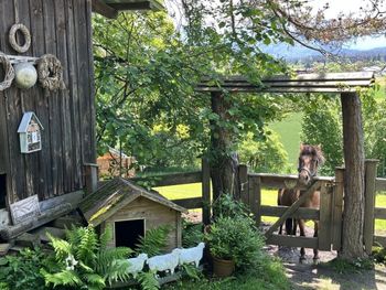 Hütte Reserl am Wörthersee - Kärnten - Österreich