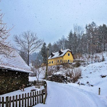 Außen Winter 28, Ferienchalet Feichtinger, Gloggnitz, Niederösterreich, Niederösterreich, Österreich