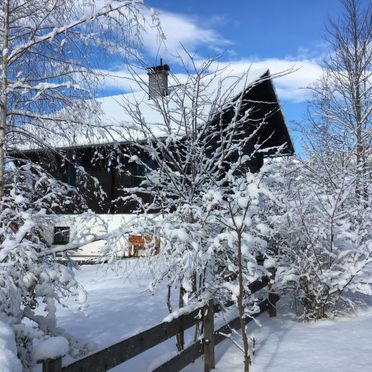 Außen Winter 32, Panoramachalet Bad Aussee, Bad Aussee, Salzkammergut, Steiermark, Österreich