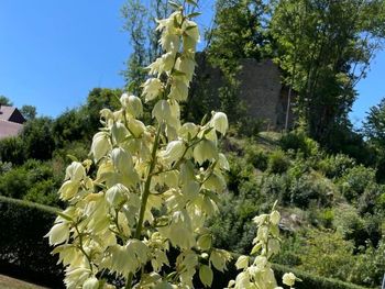 Ferienhaus Ederer - Bayern - Deutschland