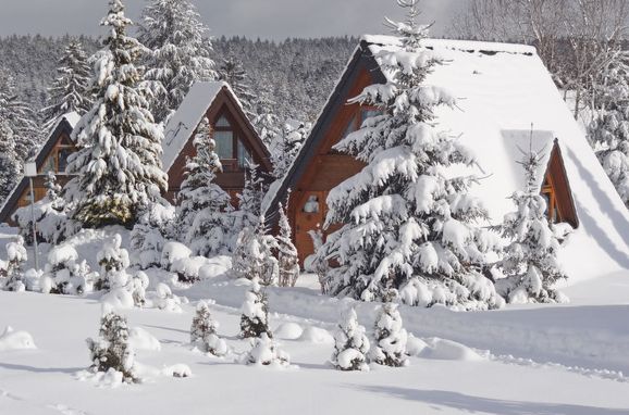 Außen Winter 10 - Hauptbild, Schwarzwald-Chalet Tennenbronn, Tennenbronn, Schwarzwald, Baden-Württemberg, Deutschland