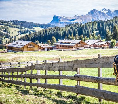 Tirler- Dolomites Living Hotel : The magical path