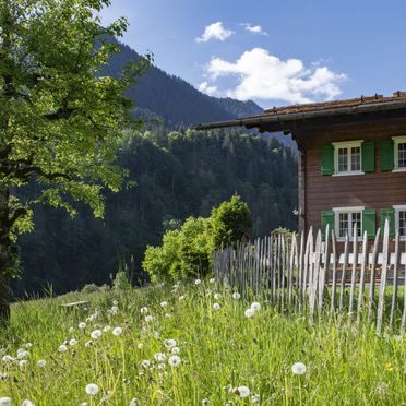 Sommer, Landhaus Bärenwald, St. Gallenkirch, Vorarlberg, Österreich