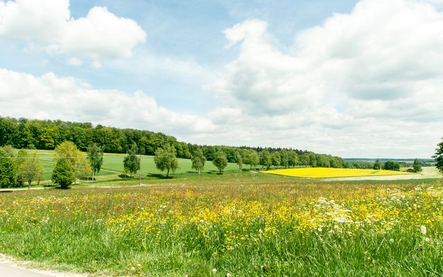 biohotel zur scheunenwirtin kitzlein blick vom haus