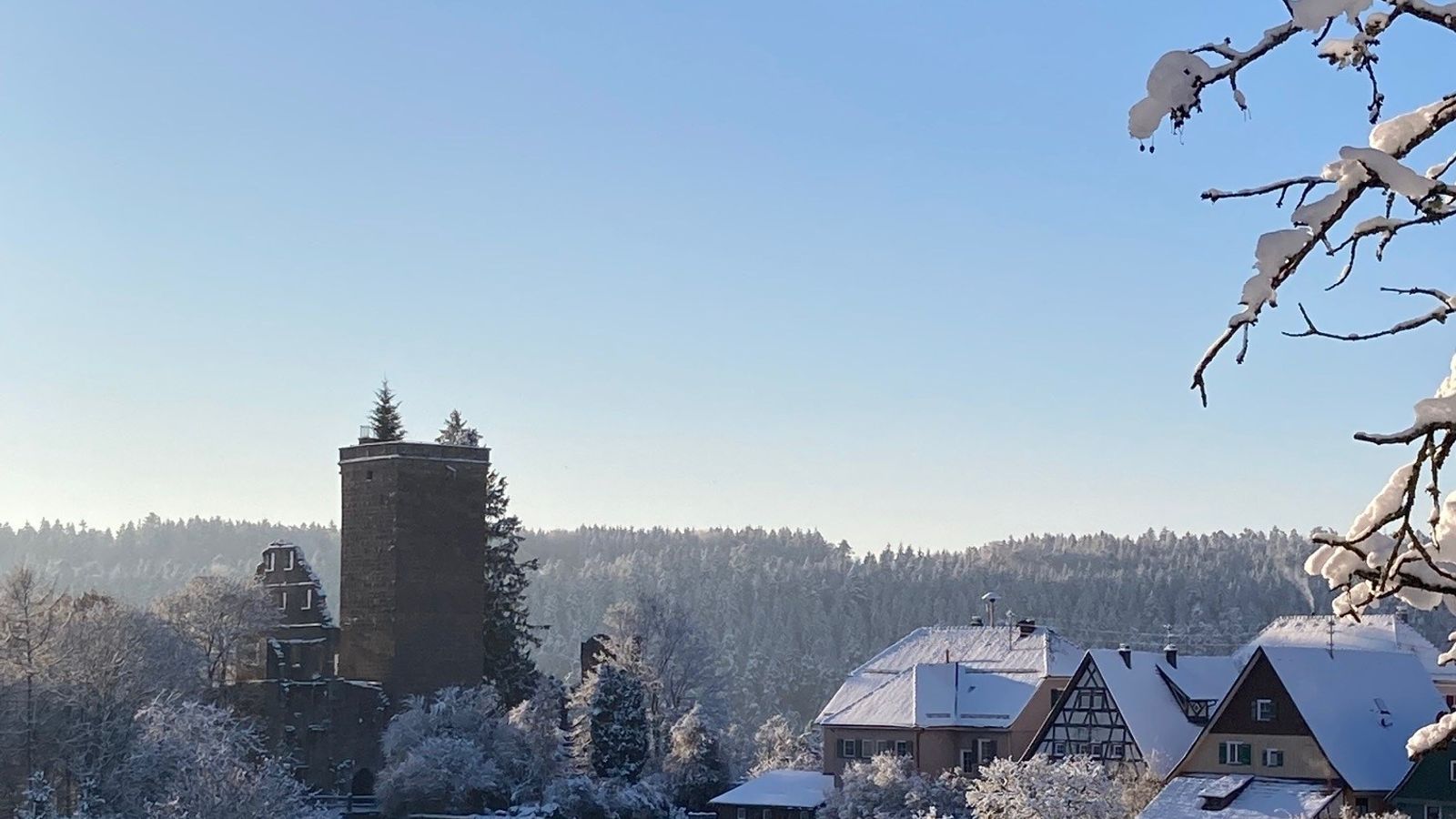 Bild #4 - Hotel Kronelamm im Schwarzwald