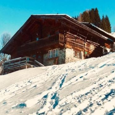 Outside Winter 34, Berghütte Sahnealm, Mittersill, Pinzgau, Salzburg, Austria