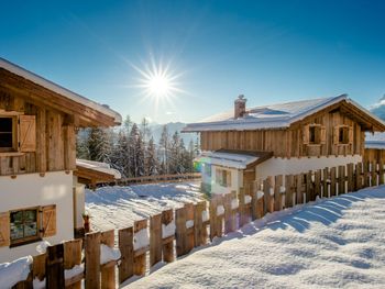 Bergchalet Eulersberg - Salzburg - Austria