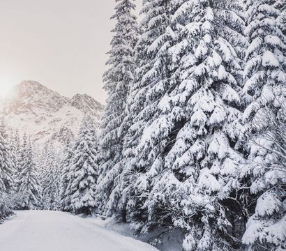 die HOCHKÖNIGIN Mountain Resort: Snow. Spa. Sleep. Repeat. - Your best price winter deal in Maria Alm