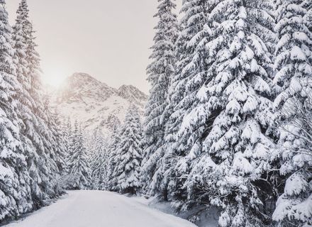 Angebot: Snow. Spa. Sleep. Repeat. – Ihr Best-Price Winterdeal in Maria Alm - die HOCHKÖNIGIN Mountain Resort