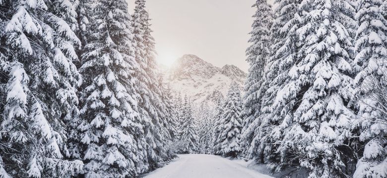 die HOCHKÖNIGIN Mountain Resort: Snow. Spa. Sleep. Repeat. - Your best price winter deal in Maria Alm