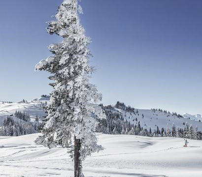 die HOCHKÖNIGIN Mountain Resort: 4=3 Winter Escape at Hochkönig – Stay 4 Nights, Pay for 3