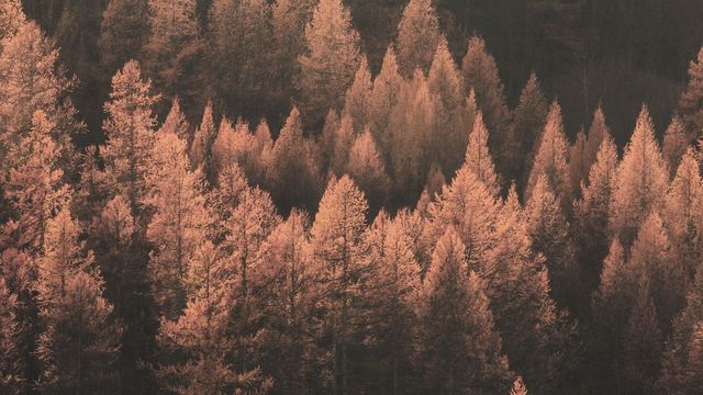 November Wellness-Auszeit 4=3