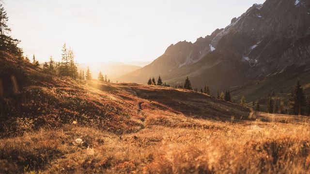 Herbstgenuss am Hochkönig