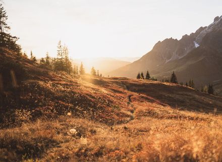 Angebot: Herbstgenuss am Hochkönig - die HOCHKÖNIGIN Mountain Resort