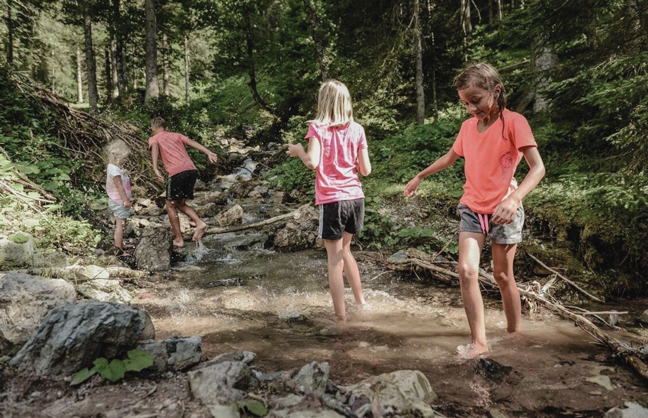 Wandern mit Kindern im Wald