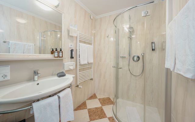 Zimmer im Hotel die HOCHKÖNIGIN mit Blick auf das Badezimmer mit Waschbecken und Dusche