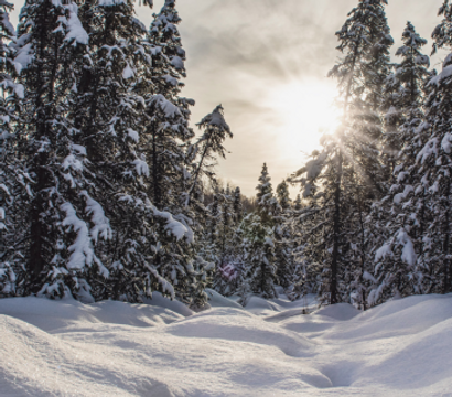die HOCHKÖNIGIN Mountain Resort: Snow. Spa. Sleep. Repeat. - Your best price winter deal in Maria Alm