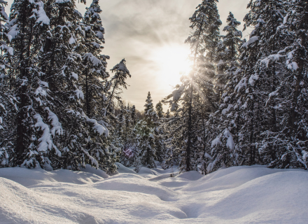 Offer: Snow. Spa. Sleep. Repeat. - Your best price winter deal in Maria Alm - die HOCHKÖNIGIN Mountain Resort