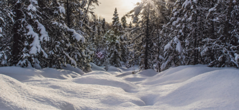 die HOCHKÖNIGIN Mountain Resort: Snow. Spa. Sleep. Repeat. - Your best price winter deal in Maria Alm