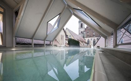Hotel Goldene Rose - Wellness hotel - Spa - Infinity pool
