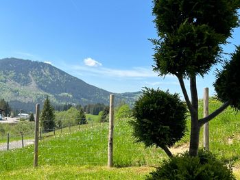 Chalet Haus am Anger - Tirol - Österreich