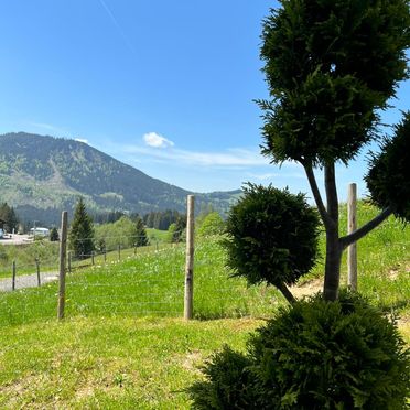 Sommer, Chalet Haus am Anger, Jungholz im Tannheimertal, Tirol, Österreich