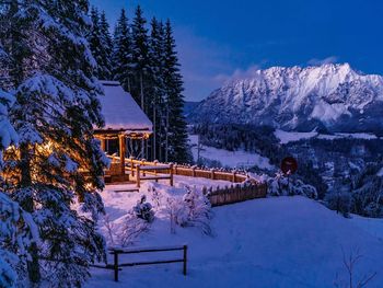 Die Chalet ALM - Styria  - Austria