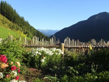 Alpenloft - Trentino-Südtirol - Italien