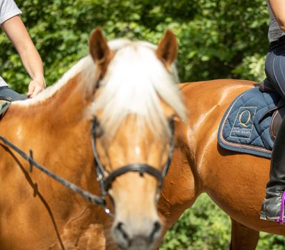 Quellenhof See Lodge: RIDING WEEK