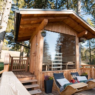 Sauna, Kalchersimon Hütte, Preitenegg, Kärnten, Österreich