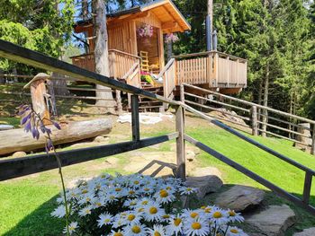 Kalchersimon Hütte - Carinthia  - Austria