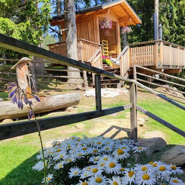 Sommer, Kalchersimon Hütte, Preitenegg, Kärnten, Österreich