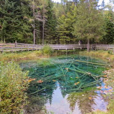 Außen Winter 19, Chalet Bodental 28, Ferlach, Kärnten, Kärnten, Österreich