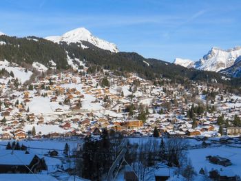 Chalet Dörfli - Waadt - Schweiz