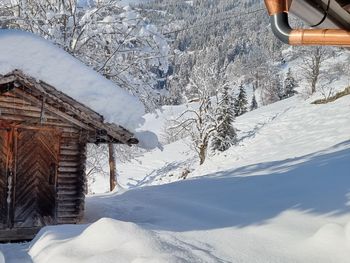 Faschinghütte - Salzburg - Österreich