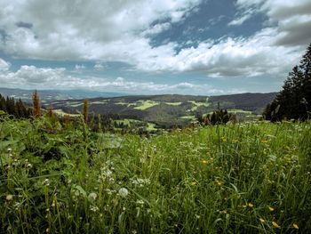 Almhütte Hebalm - Steiermark - Österreich