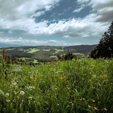 Aussicht, Almhütte Hebalm, Pack, Steiermark, Steiermark, Österreich