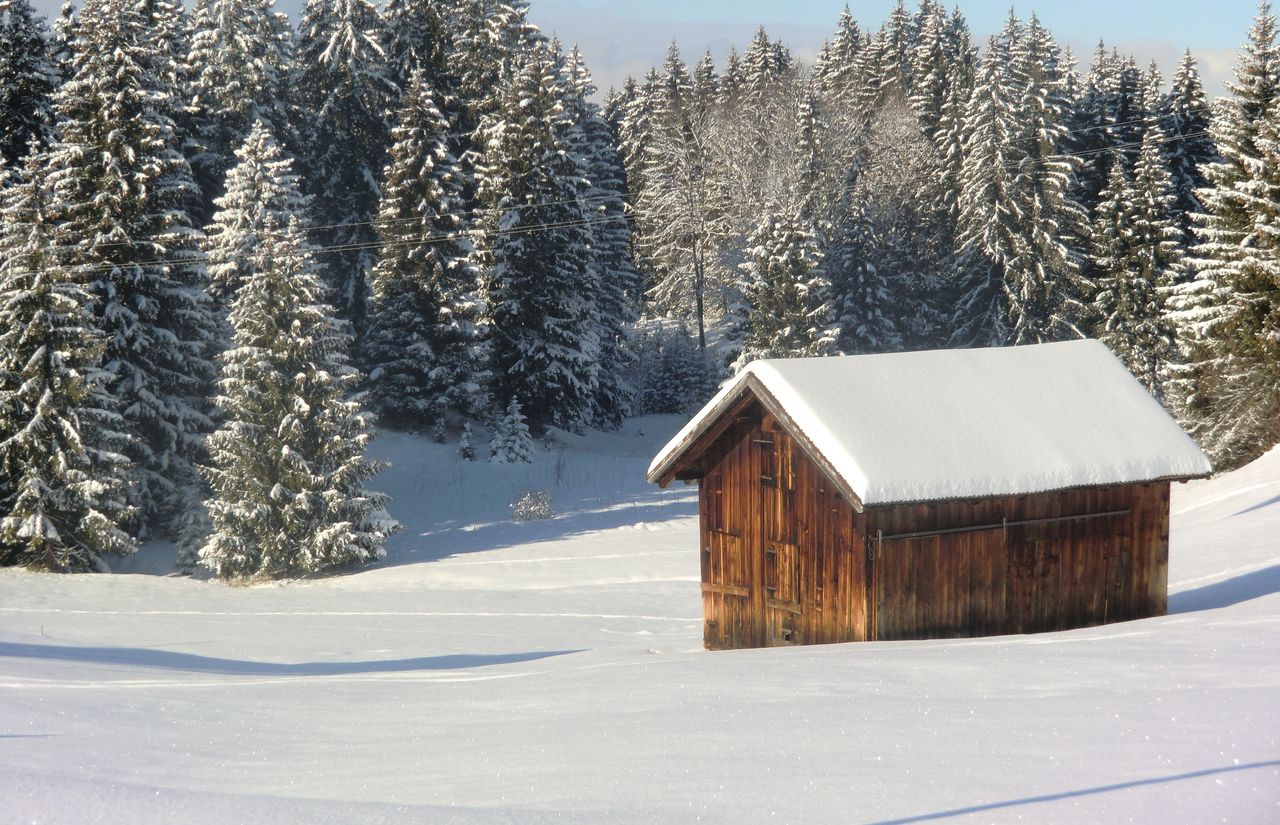 Winter nähere Umgebung II 