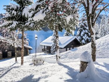 Chalet le Cyclamen - Valais - Switzerland