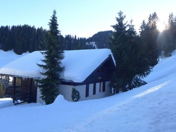 Chalet le Cyclamen - Wallis - Schweiz