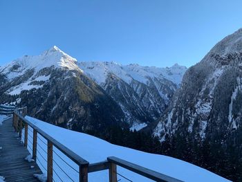 Alpennestl - Tirol - Österreich