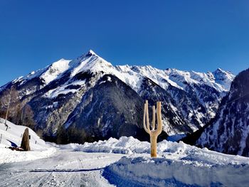 Alpennestl - Tirol - Österreich