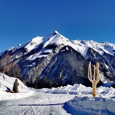 Winter, Alpennestl, Ginzling-Mayrhofen, Tirol, Tirol, Österreich