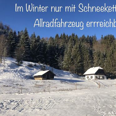 Winter, Hochsteinalm, Traunkirchen, Oberösterreich, Oberösterreich, Österreich
