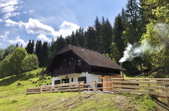 , Hochsteinalm, Traunkirchen, Oberösterreich, Upper Austria, Austria