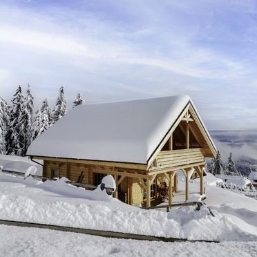 Außen Winter 13, Chalet Amsel, Sirnitz - Hochrindl, Kärnten, Kärnten, Österreich