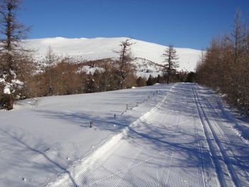 Chalet Amsel - Kärnten - Österreich