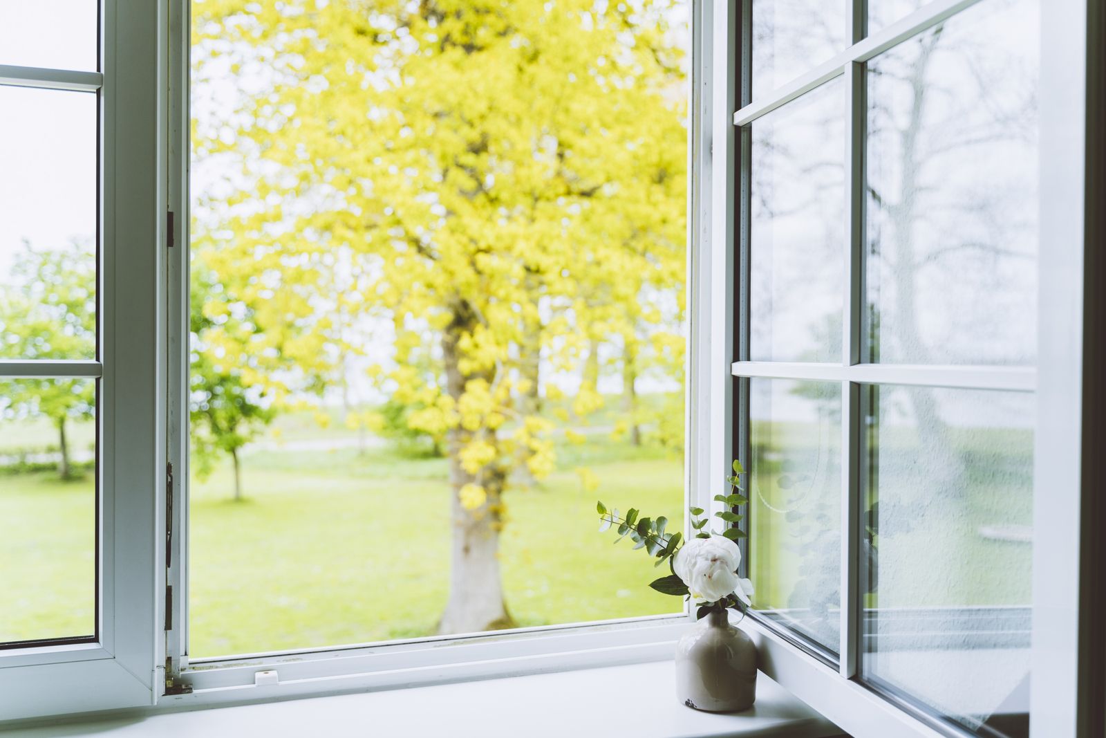 Ferienwohnung Nr. 17 mit Ostseeblick image 21 - Gut Oehe