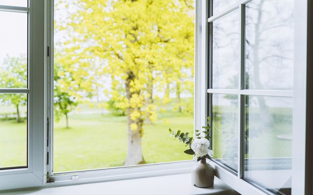 Ferienwohnung Nr. 8 mit Ostseeblick image 4 - Gut Oehe